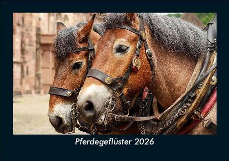Tobias Becker: Pferdegeflüster 2026 Fotokalender DIN A5, Kalender