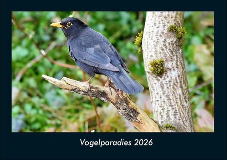 Tobias Becker: Vogelparadies 2026 Fotokalender DIN A4, Kalender