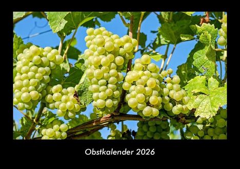 Tobias Becker: Obstkalender 2026 Fotokalender DIN A3, Kalender