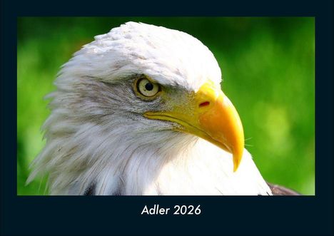 Tobias Becker: Adler 2026 Fotokalender DIN A4, Kalender