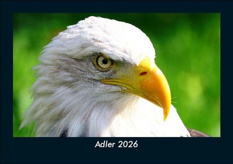 Tobias Becker: Adler 2026 Fotokalender DIN A5, Kalender