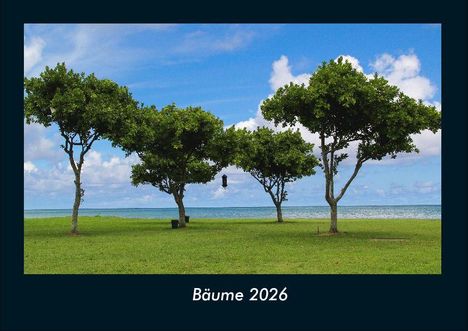 Tobias Becker: Bäume 2026 Fotokalender DIN A4, Kalender