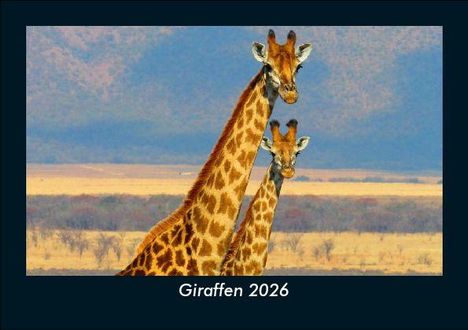Tobias Becker: Giraffen 2026 Fotokalender DIN A5, Kalender