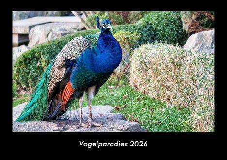 Tobias Becker: Vogelparadies 2026 Fotokalender DIN A3, Kalender