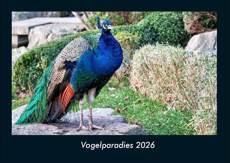Tobias Becker: Vogelparadies 2026 Fotokalender DIN A4, Kalender