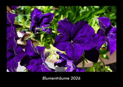Tobias Becker: Blumenträume 2026 Fotokalender DIN A3, Kalender