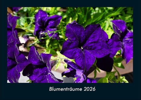 Tobias Becker: Blumenträume 2026 Fotokalender DIN A4, Kalender