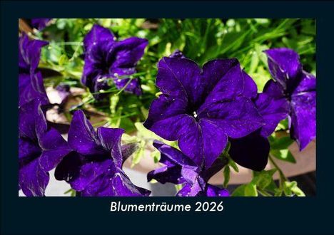 Tobias Becker: Blumenträume 2026 Fotokalender DIN A5, Kalender