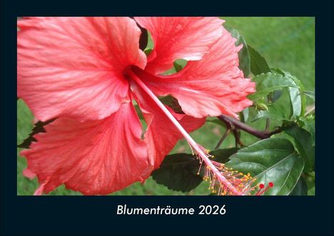 Tobias Becker: Blumenträume 2026 Fotokalender DIN A4, Kalender