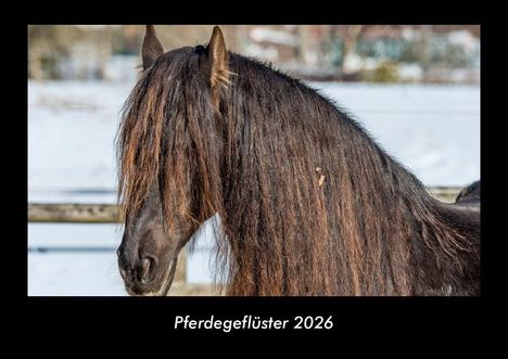 Tobias Becker: Pferdegeflüster 2026 Fotokalender DIN A3, Kalender
