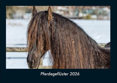 Tobias Becker: Pferdegeflüster 2026 Fotokalender DIN A4, Kalender