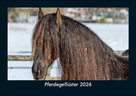 Tobias Becker: Pferdegeflüster 2026 Fotokalender DIN A5, Kalender