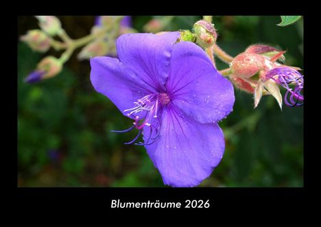 Tobias Becker: Blumenträume 2026 Fotokalender DIN A3, Kalender