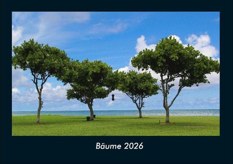 Tobias Becker: Bäume 2026 Fotokalender DIN A4, Kalender