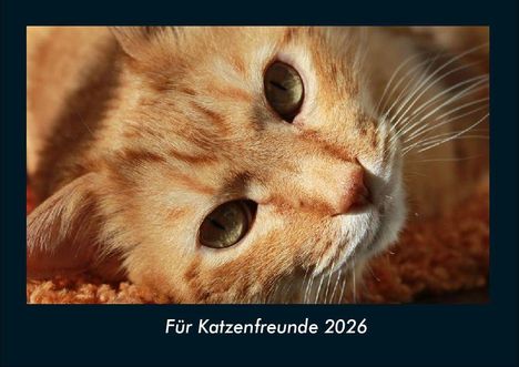 Tobias Becker: Für Katzenfreunde 2026 Fotokalender DIN A4, Kalender