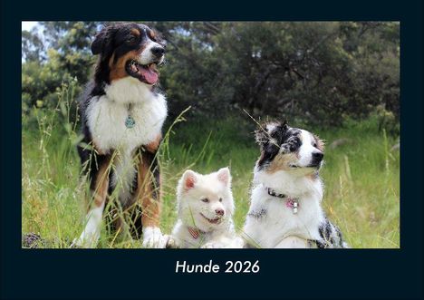 Tobias Becker: Hunde 2026 Fotokalender DIN A4, Kalender