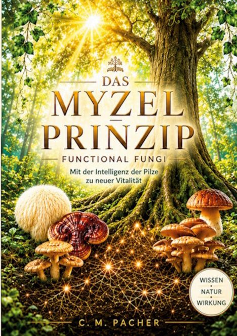 Text: Das Myzel Prinzip - Functional Fungi. Ein Baum mit Sonnenstrahlen und verschiedenen Pilzen am Boden.