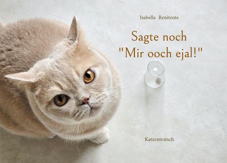 Text: "Isabella Renitente sagte noch 'Mir ooch ejal!' Katzentratsch." Eine beige Katze schaut direkt nach oben.