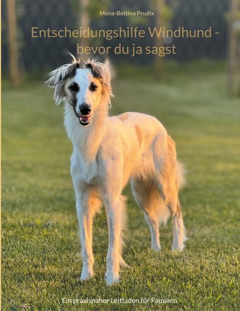Titel: Entscheidungshilfe Windhund - bevor du ja sagst. Ein stehender Windhund auf einer Wiese bei Sonnenuntergang.
