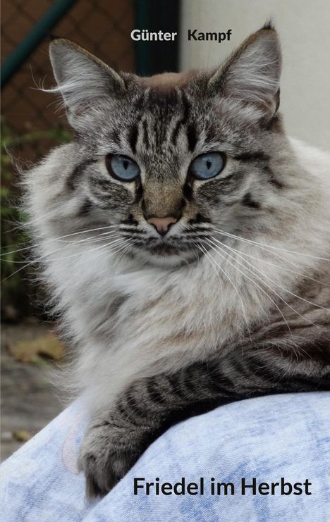 Text: "Günter Kampf", "Friedel im Herbst". Eine Katze mit langem, flauschigem Fell und blauen Augen sitzt draußen.
