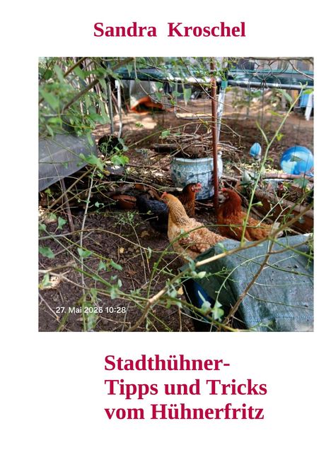 Titel: Sandra Kroschel – Stadthühner-Tipps und Tricks vom Hühnerfritz. Foto: Hühner im Gehege.