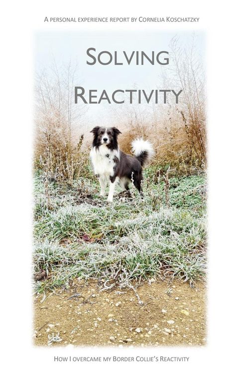 "Solving Reactivity" oben, "How I overcame my Border Collie’s Reactivity" unten, Hund auf frostigem Gras.
