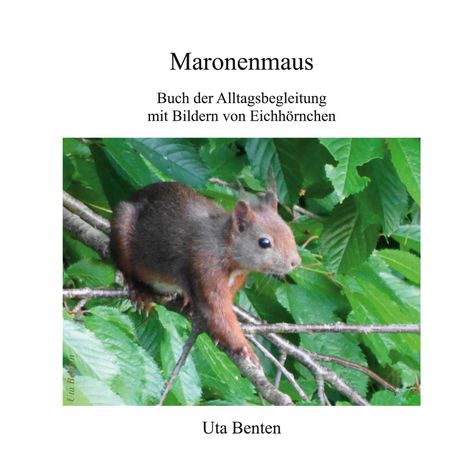 „Maronenmaus: Buch der Alltagsbegleitung mit Bildern von Eichhörnchen“ von Uta Benten. Ein Eichhörnchen auf Ästen.