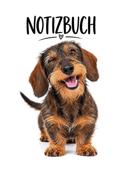 Der Text „NOTIZBUCH“ steht über einem fröhlichen Dackel, der mit einem Auge zwinkert und die Zunge herausstreckt.