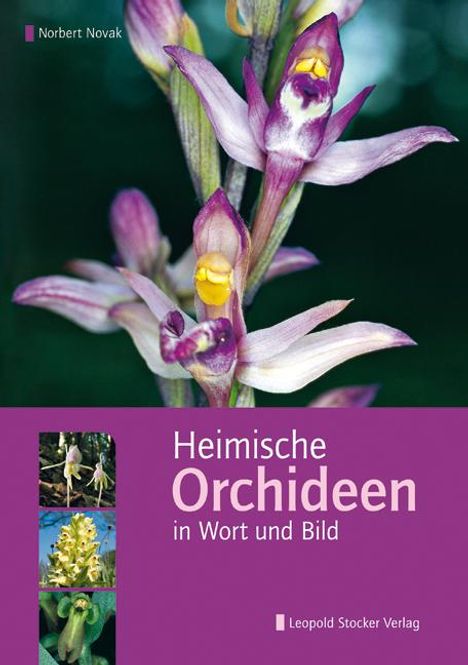 Norbert Novak: Novak, N: Heimische Orchideen in Wort und Bild, Buch