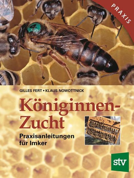 Gilles Fert: Königinnenzucht, Buch