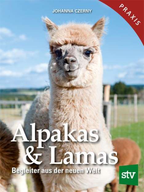 Johanna Czerny: Alpakas &amp; Lamas, Buch