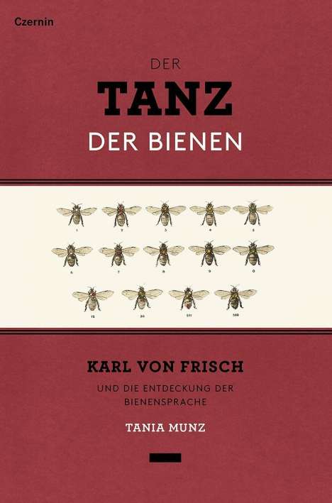 Tania Munz: Der Tanz der Bienen, Buch