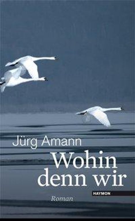 Jürg Amann: Wohin denn wir, Buch