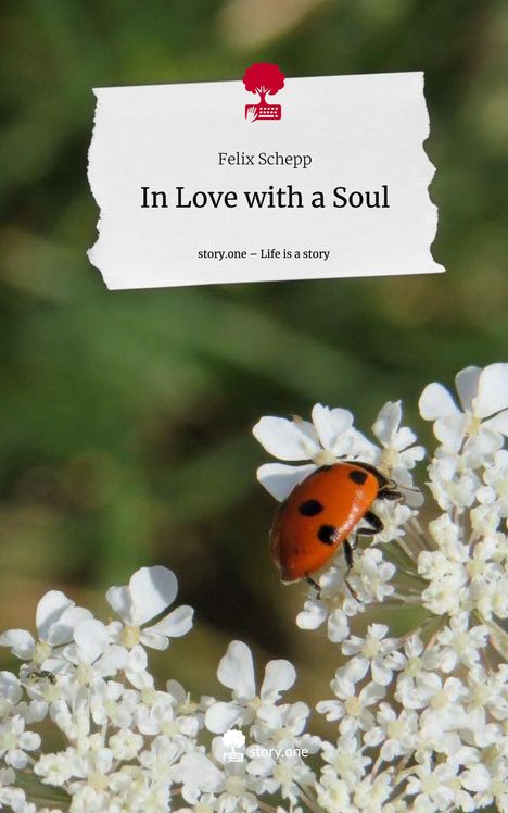 Felix Schepp: In Love with a Soul. Life is a Story - story.one, Buch