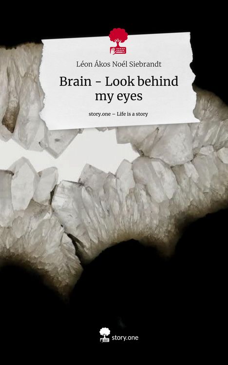 Léon Ákos Noél Siebrandt: Brain - Look behind my eyes. Life is a Story - story.one, Buch