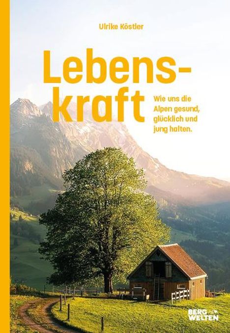 Ulrike Köstler: Lebenskraft, Buch