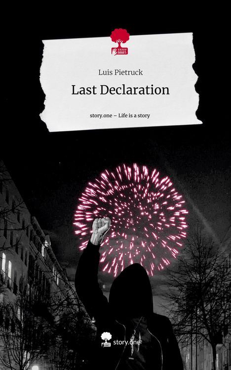 Luis Pietruck: Last Declaration. Life is a Story - story.one, Buch