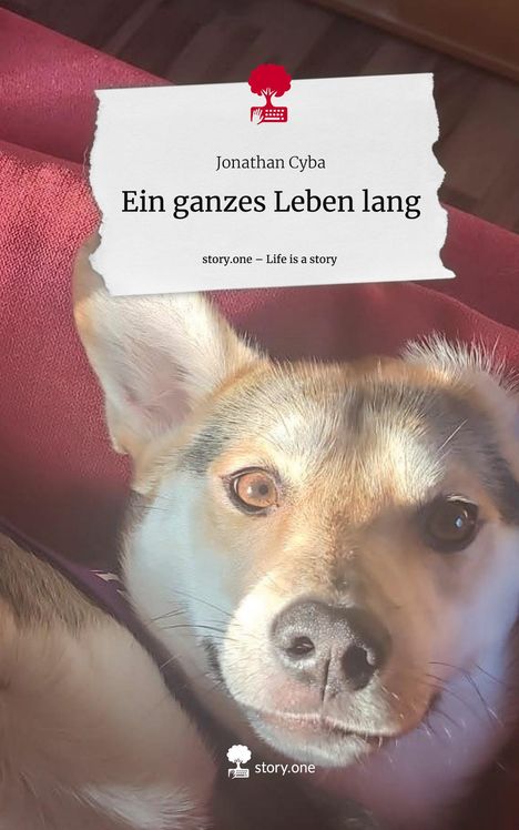 Jonathan Cyba: Ein ganzes Leben lang. Life is a Story - story.one, Buch