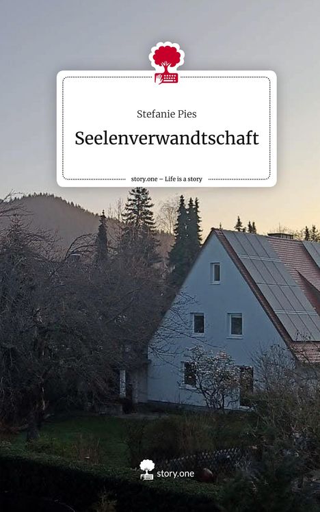 Stefanie Pies: Seelenverwandtschaft. Life is a Story - story.one, Buch