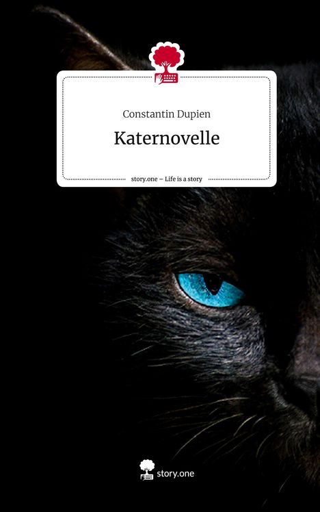 Constantin Dupien: Katernovelle. Life is a Story - story.one, Buch