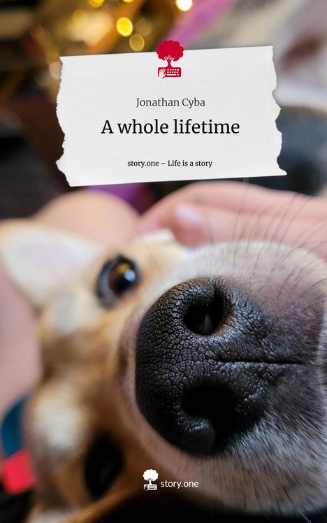 Jonathan Cyba: A whole lifetime. Life is a Story - story.one, Buch