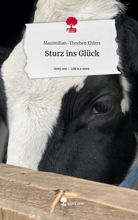 Maximilian-Thorben Ehlers: Sturz ins Glück. Life is a Story - story.one, Buch