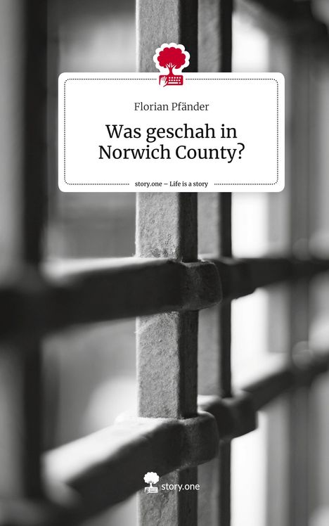 Florian Pfänder: Was geschah in Norwich County?. Life is a Story - story.one, Buch