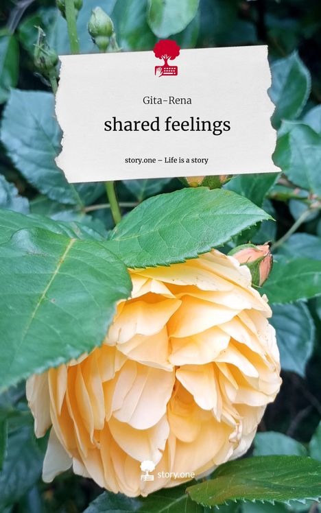 Gita-Rena: shared feelings. Life is a Story - story.one, Buch