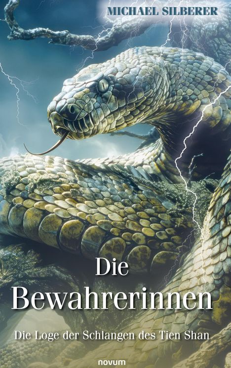 Michael Silberer: Die Bewahrerinnen, Buch