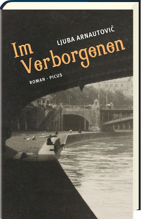 Ljuba Arnautovic: Im Verborgenen, Buch