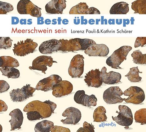 Lorenz Pauli: Das Beste überhaupt, Buch