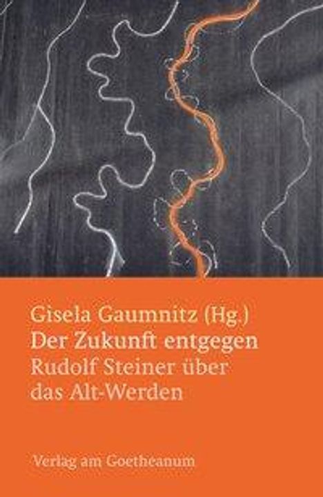 Gisela Gaumnitz: Gaumnitz, G: Zukunft entgegen, Buch