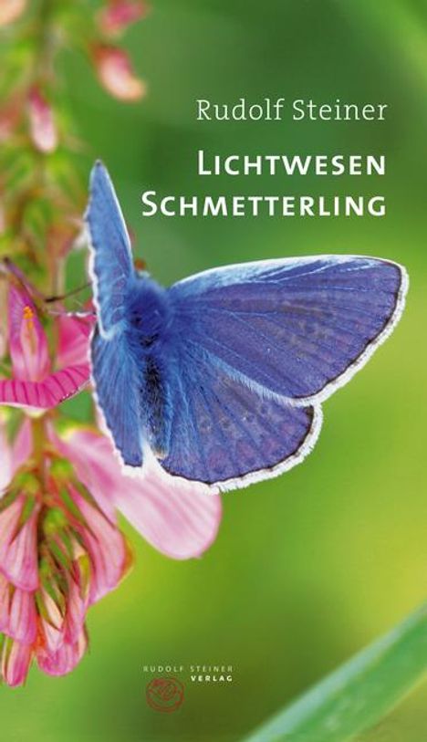 Steiner Rudolf: Lichtwesen Schmetterling, Buch