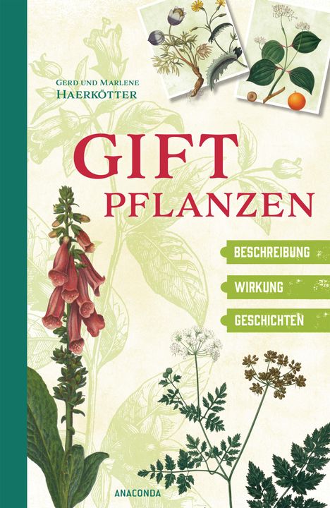 Cover/Produkt Ansicht vergrößern
